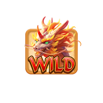 สัญลักษณ์ WilD