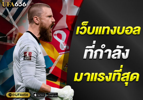 เว็บแทงบอล