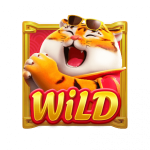 Wild สล็อต