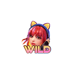 สัญลักษณ์ WILD